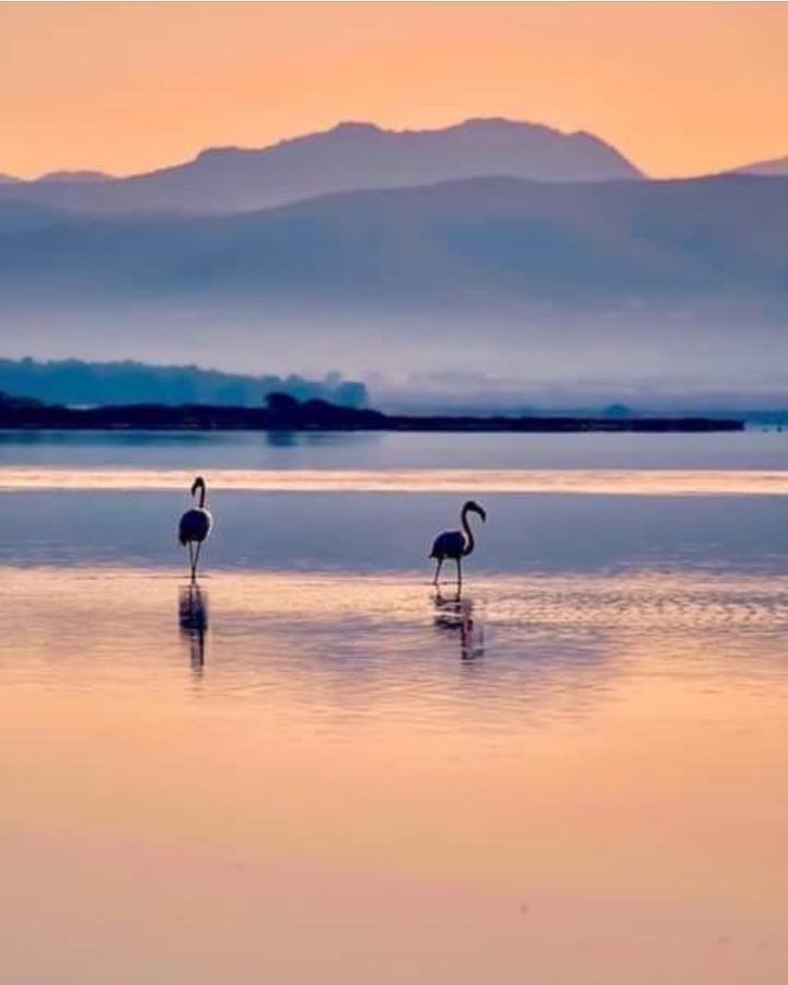 Blue Sea *